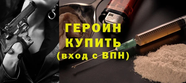 шишки Ельня