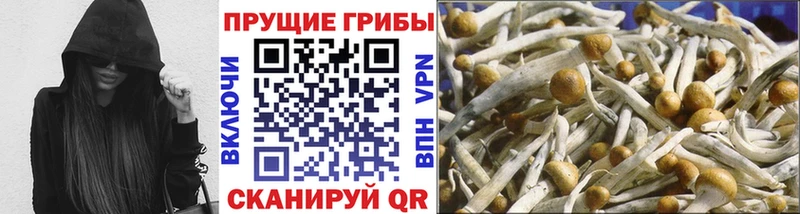 Галлюциногенные грибы MAGIC MUSHROOMS Солигалич